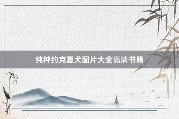 纯种约克夏犬图片大全高清书籍